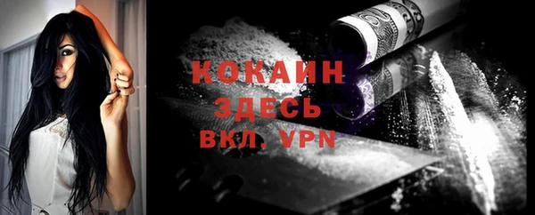 стаф Балахна