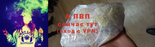 стаф Балахна