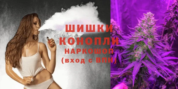 стаф Балахна