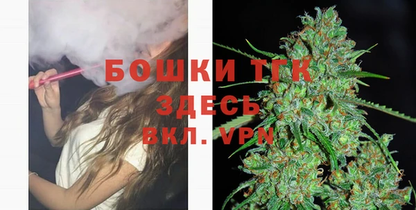 стаф Балахна