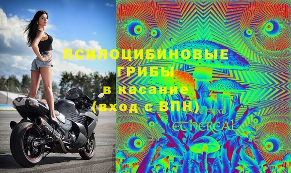 стаф Балахна