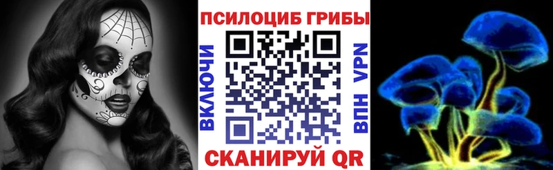 маркетплейс какой сайт  Киреевск  Галлюциногенные грибы MAGIC MUSHROOMS 